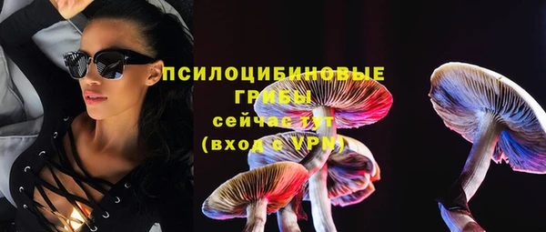 бошки Кулебаки