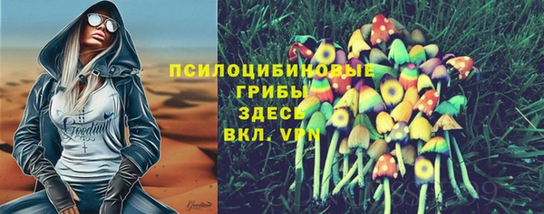 МДПВ Лагань