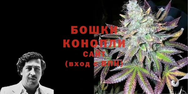 МДПВ Лагань